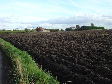 Fine, rich loam field ideal for farming vegetables in the UK Farming Vegetables, Loam Soil, Major Soil Types In India Map, Agriculture Land, Loamy Soil, Thutmose Iii, Controlled Environment Agriculture, Climate Smart Agriculture, Soil Texture