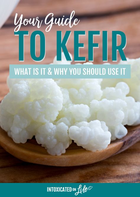 What Is Kefir, Health Posts, Christian Homemaking, Milk Kefir, Health Post, Creative Cooking, Gourmet Chef, Healthy Bacteria, Blogs To Follow