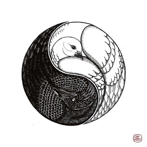 Raven yin and yang Tattoo Yin Yang, Spirit Animal Tattoo, Yin Yang Images, Goth Diy Decor, Ying Yang Tattoo, Yin Yang Balance, Yin Yang Art, Dove Tattoo, Ballet Posters