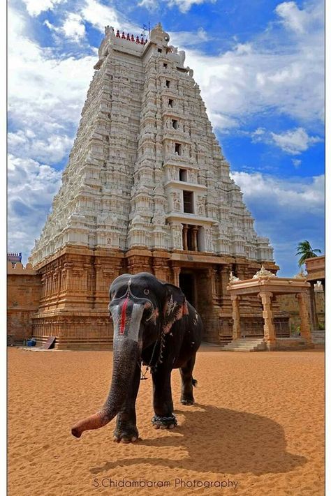 Largest functioning Hindu Temple in the world, located in Srirangam. It was constructed to symbolize the love among Gods and their disciples. Sri Ranganathaswamy Temple, Ranganathaswamy Temple, Architecture Ancient, World Elephant Day, Temple India, Photography Indian, Indian Temple Architecture, Ancient Indian Architecture, Temple Photography