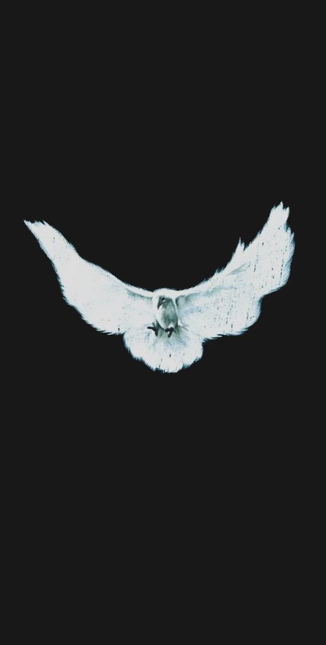 Kanye West Vultures Wallpaper, Yeezy Wallpaper, Ye Wallpaper, Kanye West Wallpaper, Chill Wallpaper, Dove Pictures, Iphone Lockscreen Wallpaper, Iphone Wallpaper Images, Graphic Poster Art