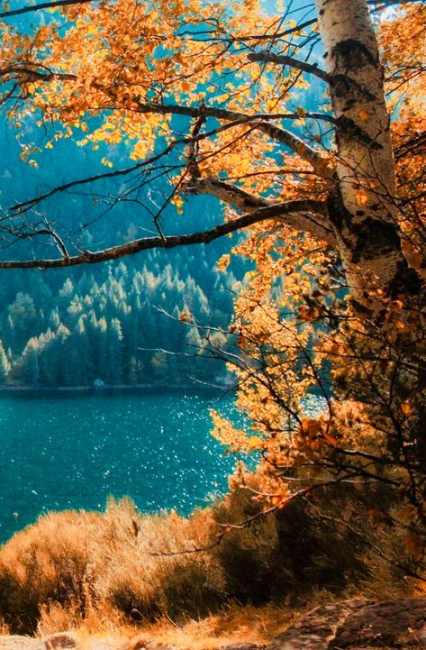 Autumn Love, Autumn Scenes, Autumn Scenery, Autumn Beauty, Jolie Photo, Alam Yang Indah, Love Fall, Autumn Colors, Autumn Aesthetic