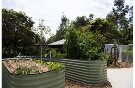 Anglicare - Warriewood Brook (Warriewood), Warriewood Retirement Village, Retirement Home, NSW Veggie Garden Beds, Horse Trough, Vege Garden, Vegetable Beds, Coastal Luxe, Wooden Raised Garden Bed, Garden Bed Layout, Bed Idea, Metal Garden Beds