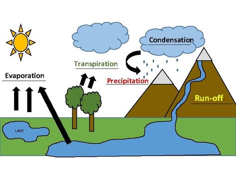 Condensation Transpiration Evaporation Precipitation Run-off LAKE Hydrological Cycle, Solid Liquid Gas, Pink Lake, Kid Flash, River Basin, Water Cycle, Science Fair, Cycling, Science