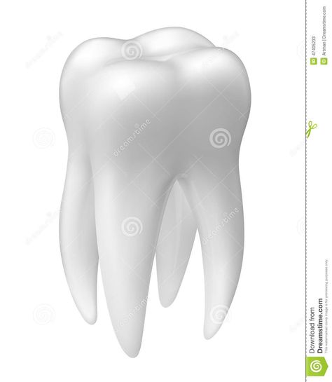 Tooth Icon, Molar Tooth, White Illustration, Project Ideas, Stock Illustration, Stock Vector, Vector Illustration, Medical, White