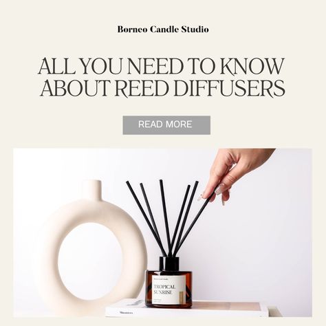 Reed diffusers from Borneo Candle Studio and the blog on how to use reed diffusers and all you need to know! Reed Diffuser Aesthetic, Reed Diffuser Photography, Aesthetic Reed Diffuser, Reed Diffuser Design, Natural Reed Diffuser, Reed Difusser, Candle Studio, Reed Diffusers, Reed Diffuser