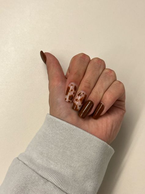 Cow Print Nails Brown, Brown Cow Nails, Brown Cow Print Nails, Brown Nail Design, Cow Print Nails, Brown Nail, Brown Nails Design, Cow Nails, Brown Cow