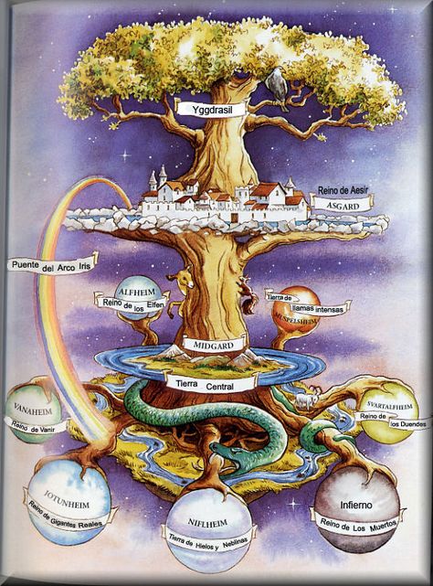 This is an image of Yggdrasil, the great tree or tree of life that connected all 10 realms of the world. Norse Myth, Old Norse, Norse Vikings, The Tree Of Life, Norse Mythology, Gods And Goddesses, Book Of Shadows, The Tree, Mythical Creatures