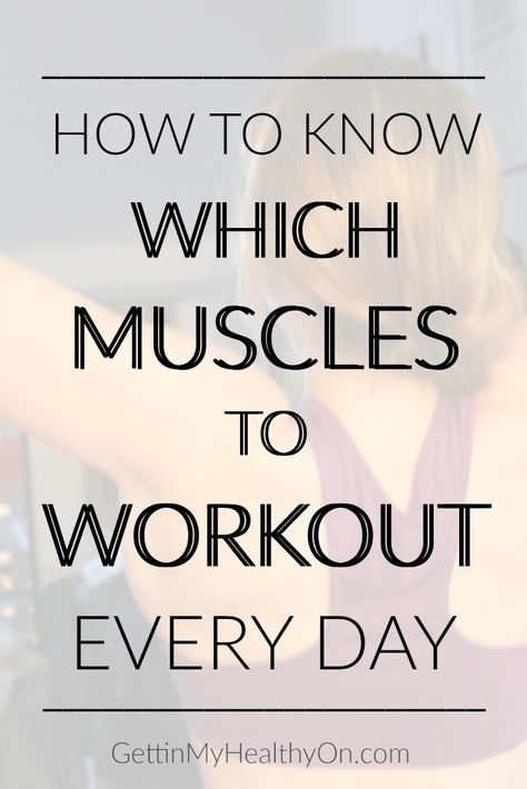 Muscles To Workout, Weight Lifting Schedule, Muscle Groups To Workout, Weight Training Schedule, Gym Schedule, Weekly Workout Schedule, Week Schedule, Exercise Ideas, Training Schedule