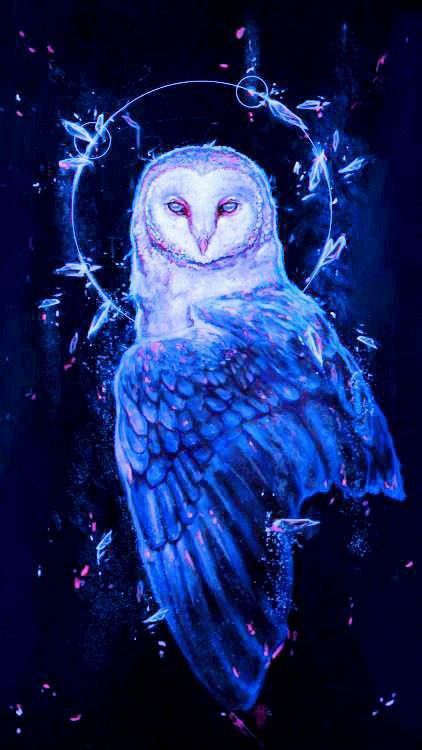 Night Owl Drawing, Fantasy Owl Art, Owl Artwork Illustrations, Owl Spirit Animal Art, Owl Fantasy Art, Cosmic Owl, Celestial Animals, Fantasy Owl, Magical Owl