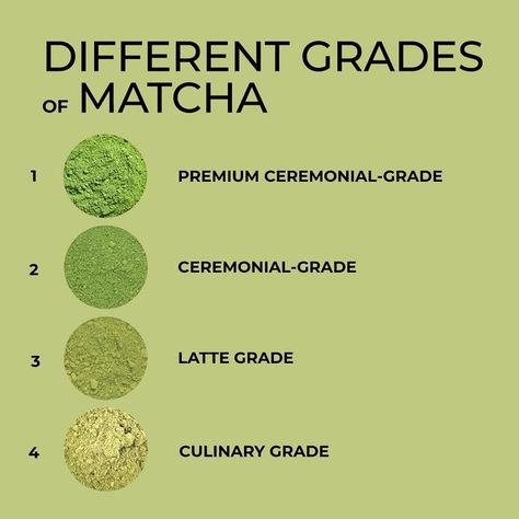 Firebelly Tea on Instagram: "The real difference between matcha grades 👇🏼 1. Premium ceremonial-grade: this is the highest quality of matcha you can get. 1st harvest shade-grown tea leaves give you the most nutrients. Meticulously shaded and processed, this fine, nutrient dense matcha can be consumed on its own. 2. Ceremonial-grade: still high in quality, this high grade can have slightly less nutrients. 2nd harvest leaves are still not as young and fresh as 1st harvest. It should still be smooth enough to drink on its own. 3. Latte grade: this matcha grade is meant to be mixed with milk and sugar. To keep costs down, some processing steps like shading the leaves have been skipped. 4. Culinary grade: most people drink this grade of matcha without even knowing! Make sure you check you Matcha Girl, Matcha Milk, Green Tea Recipes, Milk And Sugar, Matcha Powder, Matcha Tea, Workout Routines, Nutrient Dense, Tea Recipes