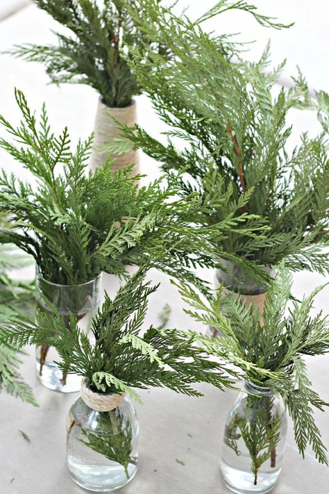 Pine Tree Table Decor, Pine Branch Table Decor, Cedar Branch Wedding Decor, Pine Tree Bridal Shower Ideas, Pine Tree Floral Arrangements, Winter Green Centerpiece, Christmas Shower Centerpieces, Winter Centerpieces For Table Baby Shower, Pine Tree Centerpiece Table Decorations