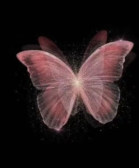 Illusion Magic, Cute Butterfly, Butterfly Wallpaper, Pink Butterfly, Home Ideas, Butterflies, Pink