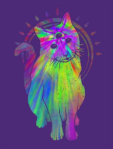 @Alicks Gordon-Forbes  This made me think of you! <3  (Btw, I stumbled across your board when I looked up trippy, and then found your profile! I like your pins!) Trippy Cat, Psy Art, Colorful Cat, Trippy Art, Crazy Cats, Woodstock, Cat Art, Psychic, A Cat