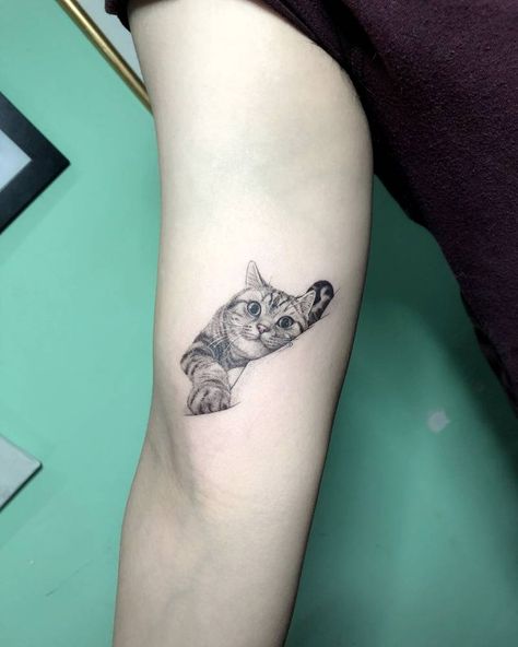 Single needle cat tattoo on the right inner arm. Small Cat Tattoo, Cat Portrait Tattoos, Cats Tattoo, Cat Tattoo Simple, Tattoo Dotwork, Inner Arm Tattoo, Black Cat Tattoos, Muster Tattoos, Cat Tattoo Designs