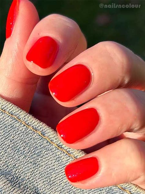 OPI Left Your Texts on Red Opi Pink Red Gel Polish, Opi Coral Red Nail Polish, Bright Red Opi Gel Polish, Cherry Jello Nails, I Eat Mainly Lobster Opi, Opi Left Your Text On Red, Opi Orange Red Nail Polish, Opi Dip Red Colors, Opi Reds Comparison