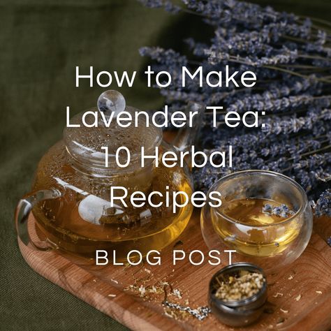 Holy Basil Tea, Lavender Drink, Basil Tea, Tea Blends Recipes, Bulk Herbs, Herbal Teas Recipes, Iced Tea Recipes, Infused Water Recipes, Herbal Recipes