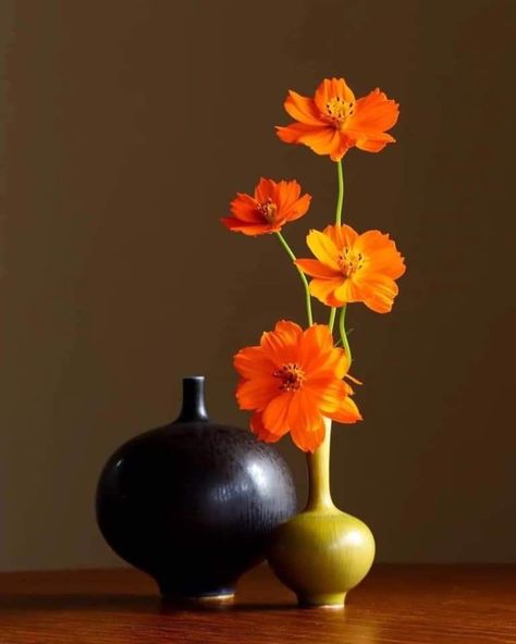 Still Life Orange Photography, Still Life Photography Flowers, Flowers Still Life Photography, Flower Vase Still Life, Aesthetic Still Life, Still Life Pictures, Plant Study, Life Drawing Reference, Rose Oil Painting