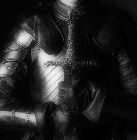 Royal Knight Aesthetic, Knights Aesthetic, House Of The Dragon Aesthetic, Knight Aesthetic, Life Is A Movie, Dragon Aesthetic, Hawke Dragon Age, Brienne Of Tarth, Play Quiz