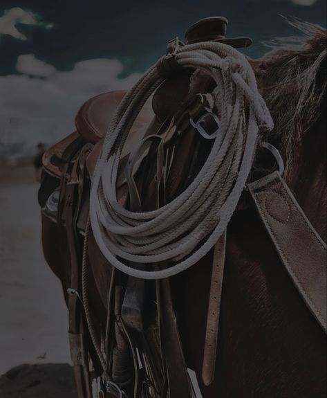 Aes. #western #wildwest #aesthetic #cowboy Outlaw Aesthetic Western, Wildwest Aesthetic, Gunslinger Aesthetic, Modern Cowboy Aesthetic, Outlaw Aesthetic, Aesthetic Cowboy, Rootin Tootin, Pony Rider, Modern Cowboy