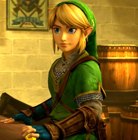 Link Pfp, Hyrule Warriors Link, Hottest Guy Names, Games Icon, Linked Universe, Style South Park, Ben Drowned, Pixel Art Templates, Hyrule Warriors