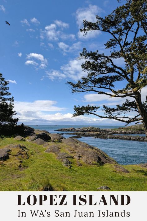 San Juan Islands Washington, Lopez Island, San Juan Island, Kayak Trip, San Juan Islands, Hidden Gem, Washington State, A World, Kayaking