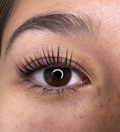 Elleebana Lash Lift, Eye Structure, Natural Fake Eyelashes, Esthetician Marketing, Product Innovation, Lash Tint, Eyelash Lift, Conquer The World, Beauty Therapist