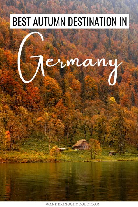 September In Germany, Germany In The Fall, Fall In Germany, Germany In October, Germany In September, Autumn In Germany, Autumn Germany, Things To Do In Germany, Germany Travel Destinations