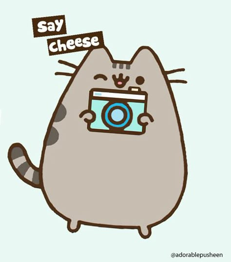 Toma fotos 📸cada vez que te sientas bien y alegre 😁💁🏽‍♀️ Say Cheese, Pusheen, Cartoon Cat, Every Day, Cheese