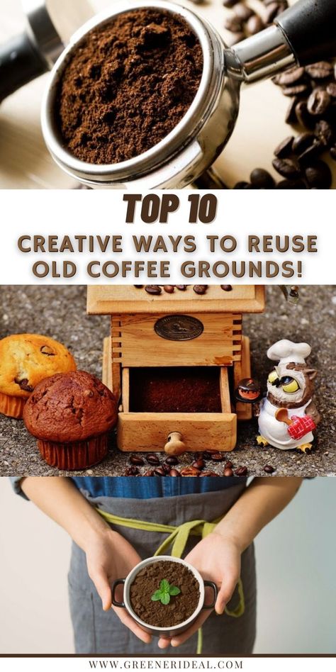 Coffee Grounds Uses, Plant Science Fair Projects, Holistic Cold Remedies, Old Coffee Grounds, Used Coffee Grounds, Creative Upcycling, Green Diy, Uses For Coffee Grounds, Zero Waste Kitchen