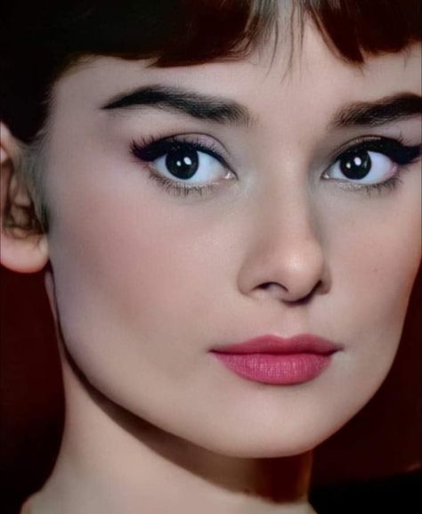 Audrey Hepburn Eyebrows, 1950 Makeup, 1950s Hair And Makeup, Audrey Hepburn Eyes, Audrey Hepburn Makeup, 1950s Makeup, 50s Makeup, Aubrey Hepburn, Vintage Makeup Looks