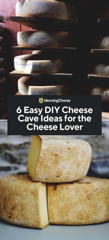 Canning Cheese, Homemade Cheeses, Root Cellar Storage, Milking Cows, Homesteading Food, Cheese Cave, Cheese Recipes Homemade, Permaculture Farm, Cheese Making Recipes