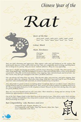 Chinese Zodiac: Chinese Zodiac Year of the Rat, $9.00 from MagCloud Year Of The Rat Tattoo, Rat Zodiac, Pig Chinese Zodiac, Chinese Zodiac Rat, Zodiac Years, Chinese Tattoo, Tiger Poster, Astrology Meaning, Chinese Astrology