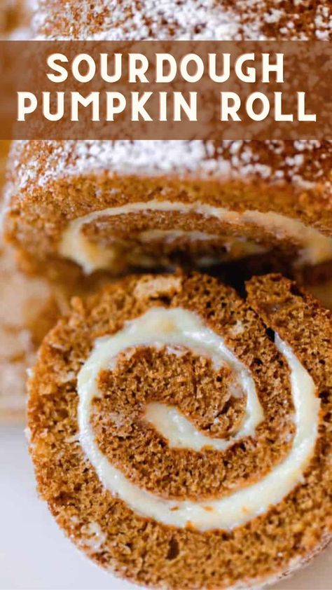 Sourdough Cake, Sourdough Pumpkin, Best Pumpkin Recipes, Farmhouse On Boone, Pumpkin Rolls Recipe, Pumpkin Banana Bread, Pumpkin Sheet Cake, Natural Yeast, Dump Cake Pumpkin