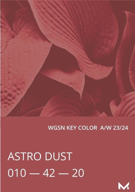 Astro Dust Color, Aw23 Trends, Astro Dust, 2024 Colors, Aw 2023, Aw 23, Pantone Palette, Pantone Colour Palettes, Color Forecasting