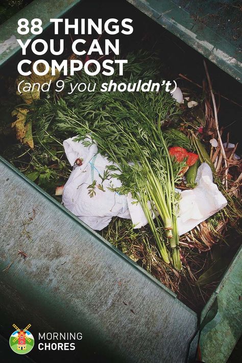 You’ll be surprised to find that you have items to compost all over the house. But, be sure to know which ones you can't compost. Composting 101, نباتات منزلية, Organic Vegetable Garden, Astuces Diy, Garden Compost, Organic Gardening Tips, Composting, Organic Vegetables, Garden Soil