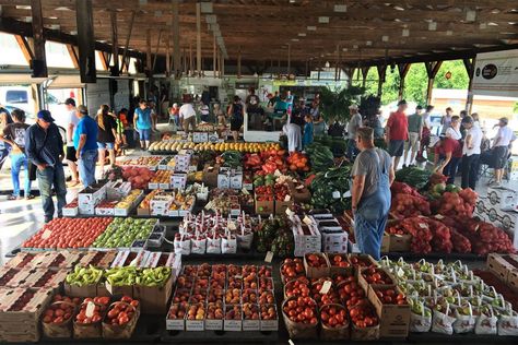 With a Focus on Food Sovereignty, Rural Appalachian Ohio is Rebounding | Civil Eats Appalachian Ohio, Rural Appalachia, Imaginary Appalachia, Food Sovereignty, 1930s Appalachia, Appalachian Mountains Creepy, Food System, Sustainable Agriculture, Power To The People