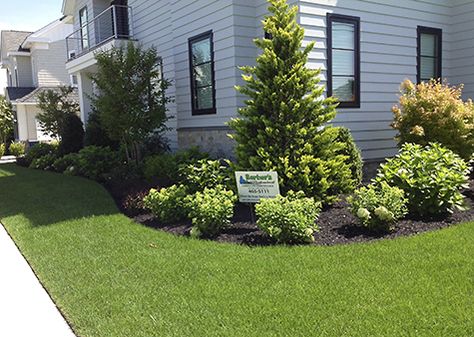 Front Of House Evergreen Landscape Ideas, Professional Landscape Design, Landscaping Grey House, Green Landscaping Front Yard, Professional Landscaping Design, Landscape Around Garage, South Louisiana Landscaping, Shrubbery Front Of House, Corner Of House Landscaping