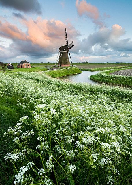 All Dutch by Dani℮l, via Flickr Windmill Water, Old Windmills, Dutch Windmills, Netherlands Travel, Green Grass, Beautiful World, In The Middle, Beautiful Landscapes, Wonders Of The World