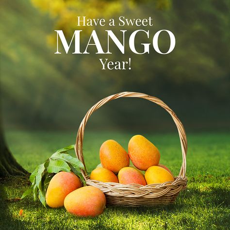 summer fruit social media banner on Behance Mango Advertising Design, Fruit Social Media Design, Mango Moodboard, Fruit Poster Design, Mango Poster, Mango Background, Fruit Banner, Mogu Mogu, Instagram Mockup