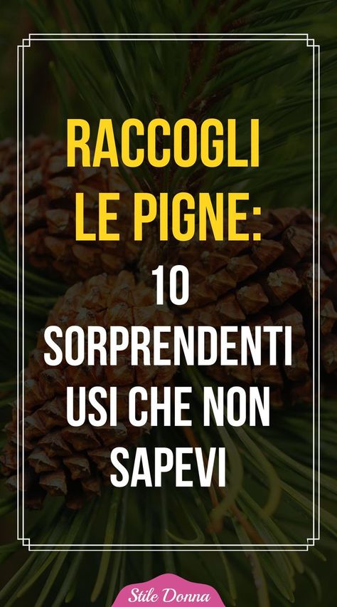 Quando si pensa alle pigne, la prima cosa che viene in mente è il Natale o, al massimo, la necessità di arrostirle per avere una gustosa merenda in autunno. Ma le pigne possono essere utilizzate in molte altre circostanze. In questo articolo, esploreremo 10 usi sorprendenti delle pigne che forse non conoscevi. Pagan Crafts