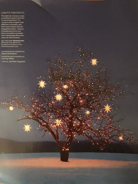 Martha Stewart Inspiration, Martha Stewart Christmas Decorations, Martha Stewart Fall, Martha Stewart Christmas, Moravian Star, Quirky Christmas, 동화 삽화, Holiday Trees, Creative Christmas Trees