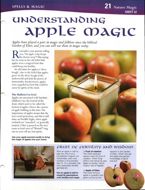 Autumn Equinox: MBSC: Understanding Apple Magick, at the #Autumn #Equinox. Magick Crafts, Magical Stuff, Wiccan Rituals, Magickal Herbs, Autumnal Equinox, Witch Garden, Magic Herbs, Kitchen Witchery, Magical Herbs