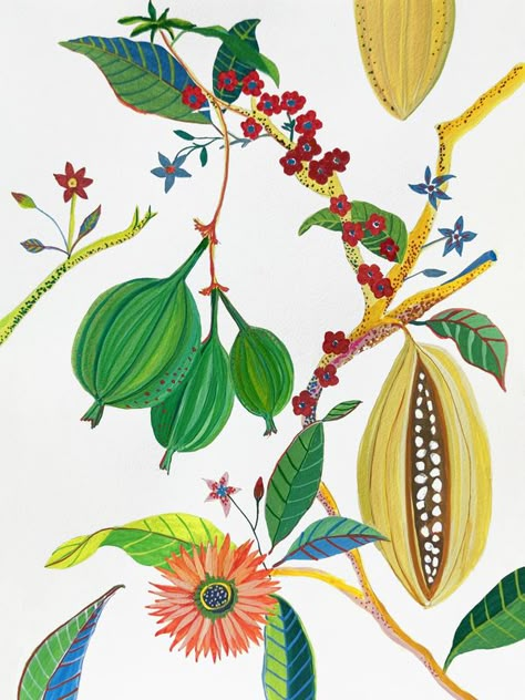 Ruti Shaashua, Tropical Flowers Illustration Botanical Prints, Vintage Fruit Print, Tropical Fruits Illustration, Tropical Garden Illustration, Tropical Fruit Wallpaper, Monkey Wall Art, Gum Tree, Artfully Walls