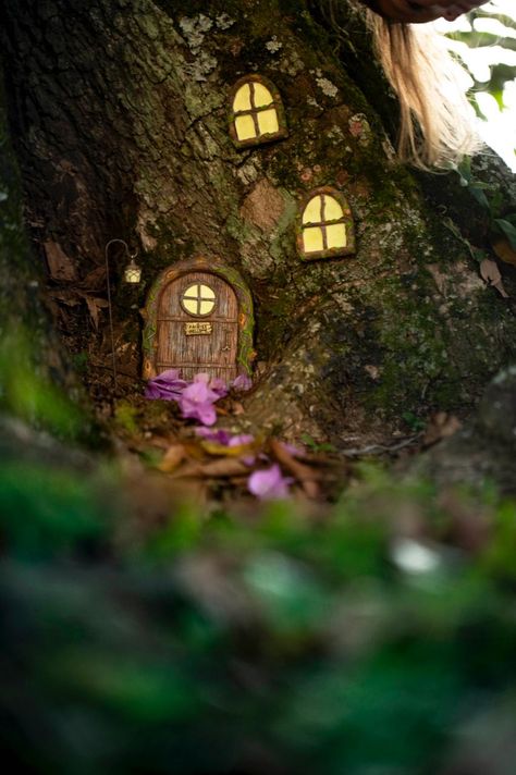 Fairy Tree Door, Fairy Windows On Trees, Wooden Wall Ideas, Dark Fairy Garden, Fairy Windows, Stump Decor, Tree Stump Decor, Fairy Window, Fairy House Kit