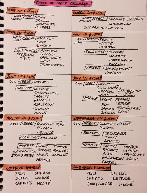 Vegetable Growth Chart, Planting Dates Vegetable Gardening, Zone 5b Gardening Vegetables, Zone 5 Planting Schedule Vegetables, Vegetable Garden Zone 5, Zone 5 Vegetable Garden Layout, Texas Vegetable Garden Layout, Zone 5 Garden Plans, Gardening Timeline