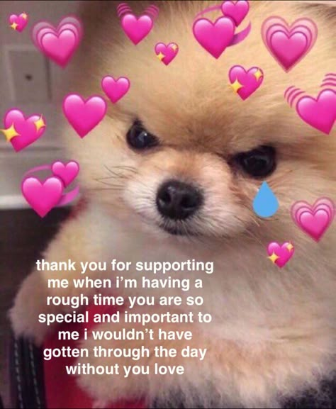 thank you for making me feel better Feel Better Meme, Thank You Memes, Flirty Memes, Heart Meme, Current Mood Meme, Cute Love Memes, Crush Memes, Good Comebacks, Boyfriend Memes