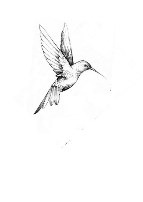 Tiny Hummingbird Tattoo, Fine Line Hummingbird, Fine Line Hummingbird Tattoo, Line Hummingbird, Hummingbird Sketch, Hummingbird Tattoo, Subtle Tattoos, Tat Ideas, Tattoo Inspo