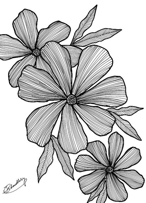 Types Of Lines Art, Flower Zentangle, Sketch Flower, Watercolour Cards, Calligraphy Tattoo, Lippan Art, Dopamine Decor, Fabric Paint Designs, Black And White Art Drawing