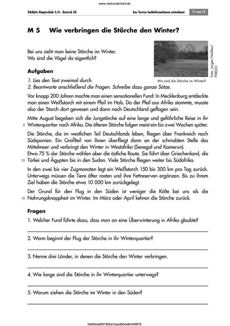 Der Sachtext informiert über das Leben der Störche im Winter. Die Fragen dazu sollen die Schüler/innen in ganzen Sätzen beantworten. In der Zusatzaufgabe zum Zugverhalten der Störche übertragen sie die gelesenen Angaben auf eine Karte.  #deutsch #sachtexte #textverständnis #lesekompetenz #raabe #arbeitsblatt #meinunterricht German Language Learning, Learn German, German Language, We Can Do It, Memes, Funny